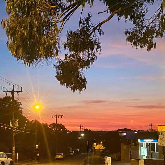 Meet your Posher, Amelia! Info - Picture 1 of 1